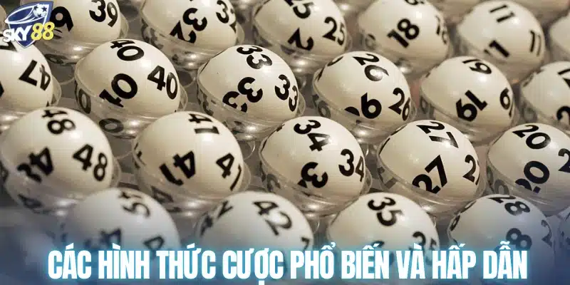 Các hình thức cược phổ biến và hấp dẫn